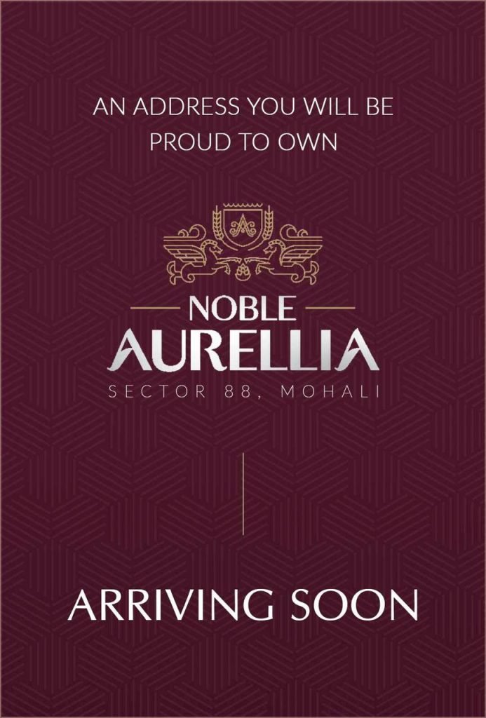 Noble-Aurellia-1