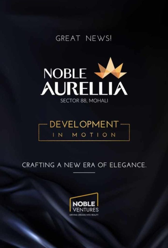 Noble_Aurellia